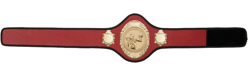 FEMALE BOXING CHAMPIONSHIP-PRO286/G/FEMBOXG-10+ COLOURS